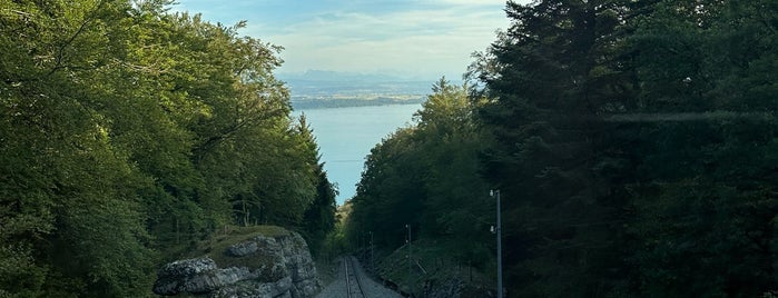 Chaumont is one of 10 Promenades à Neuchâtel.