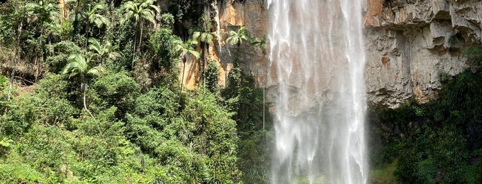 Springbrook National Park is one of Nick’s Liked Places.