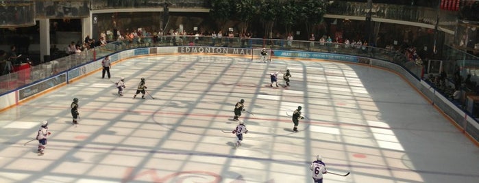 Ice Palace Rink is one of สถานที่ที่บันทึกไว้ของ Garth.