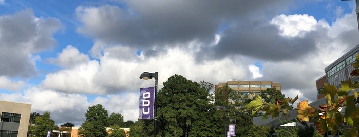 Patricia W. and J. Douglas Perry Library is one of ODU.