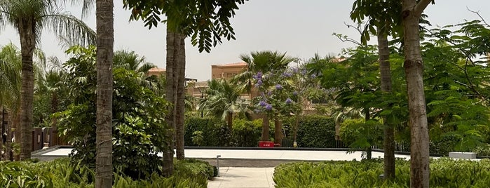 Garden 8 is one of Cairo.