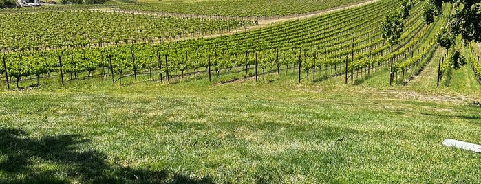 Scribe Winery is one of Wineries & Vineyards.