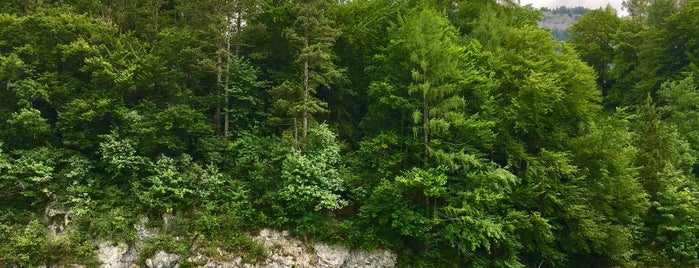 Waldbad Fürberg is one of Lugares favoritos de Radoslav.