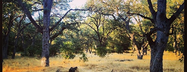Guadalupe Oak Grove Park is one of The 15 Best Trails in San Jose.