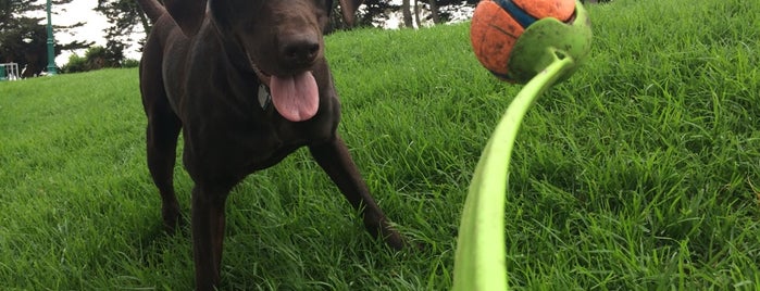 McKinley Square Park is one of The Most Dog-Friendly Spots in SF.