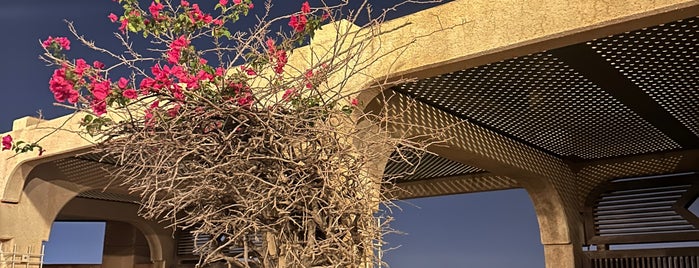 حديقة النفل is one of Riyadh.