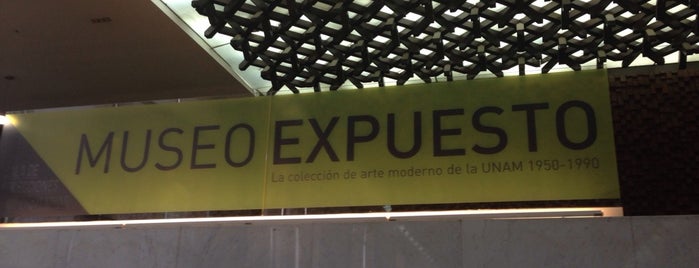 Museo Expuesto is one of Tempat yang Disukai Francisco.