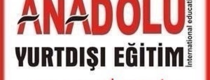 anadolu yurtdışı eğitim Danışmanlığı is one of TOP 100.