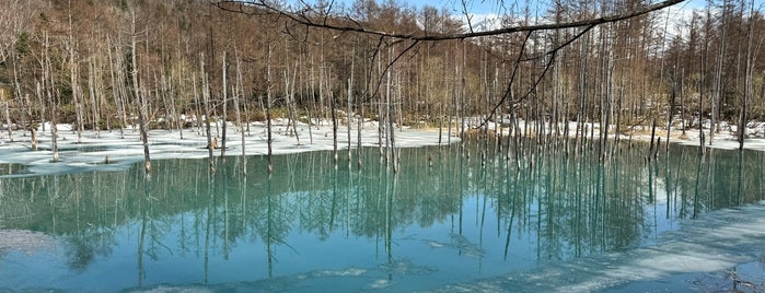 青い池 is one of Hokkaido for driving.