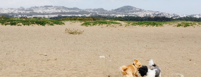 Fort Funston is one of 100 SF Things to Do before you Die.