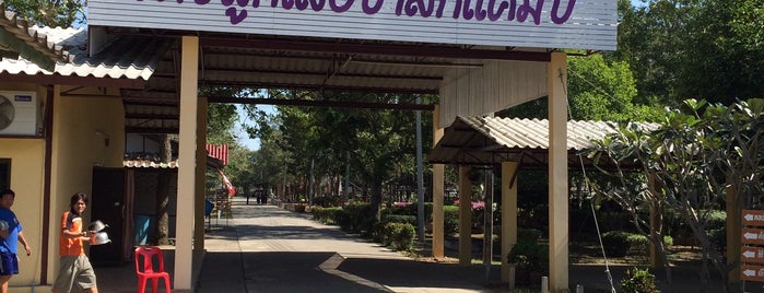 Pasak Scout Camp & Resort is one of ที่พัก.