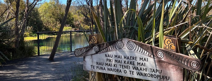 Te Waikoropupu Springs is one of Takaka.