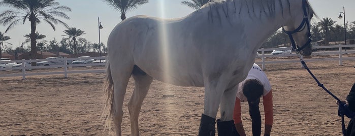 مزرعة الامير خالد بن سلطان ( اسطبل الخالدية ) is one of Equestrian club.