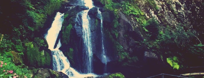 Triberger Wasserfälle is one of Rana. : понравившиеся места.