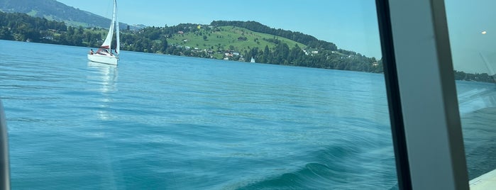 Vierwaldstättersee / Lake Lucerne is one of สถานที่ที่ Nieko ถูกใจ.