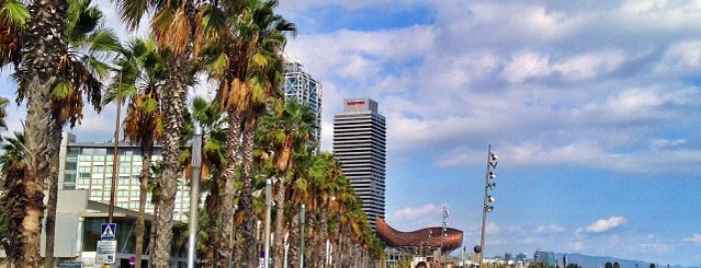 Sant Miquel Beach is one of Barcelona - August 2014.