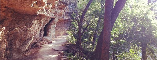 Shoal Creek Trail is one of Austin.