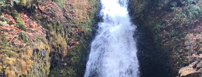 Bridal Veil Scenic Viewpont is one of Waterfalls.