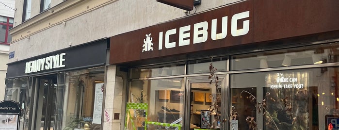 ICEBUG is one of Sweden.