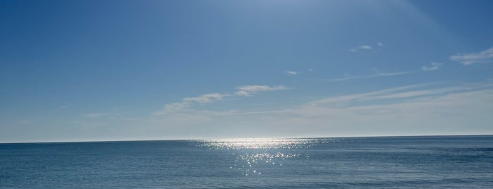 Mil Palmeras Beach is one of Playas del Mediterráneo.
