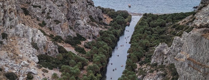 Kourtaliotis Gorge (Preveli Gorge) is one of Crete.