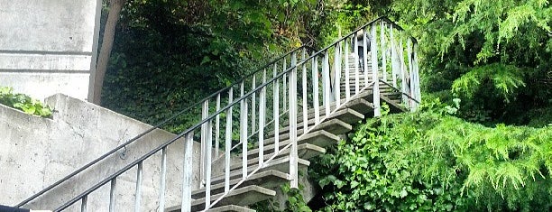 Coit Steps is one of San Francisco Favorites.