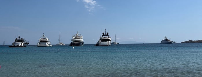 Private Beach Santa Marina is one of Mykonos.