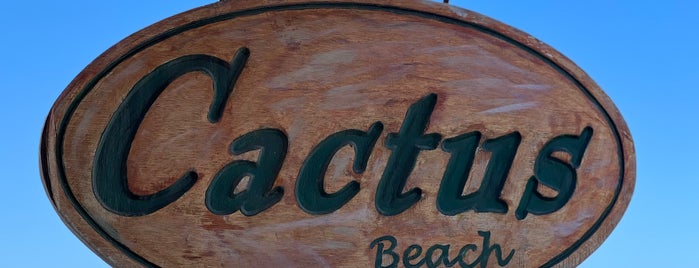 Cactus Beach Bar is one of Crete Greece.