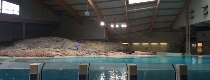 Marine World (Delfinariet) is one of Anders’s Liked Places.