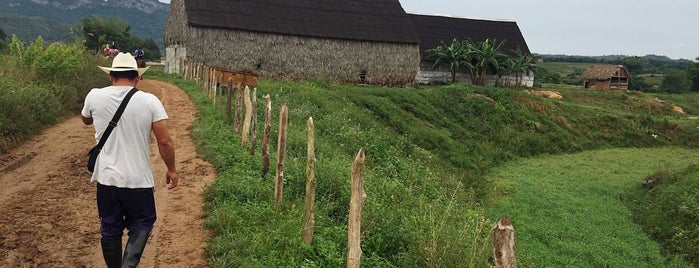 Finca Agroecológica El Paraíso is one of Posti che sono piaciuti a Johannes.