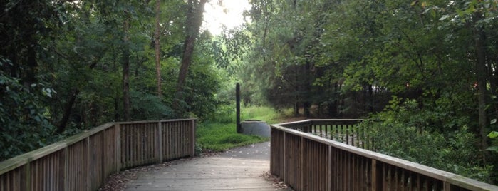Four Mile Creek Greenway (Rea Rd. end) is one of The 15 Best Trails in Charlotte.