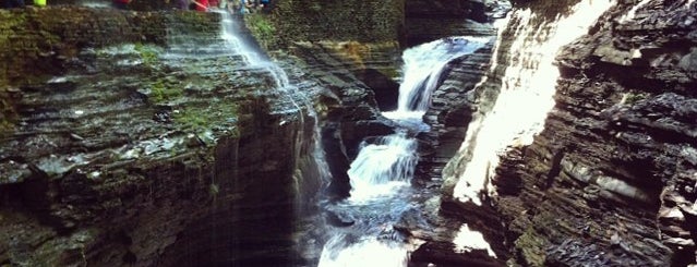 Watkins Glen Gorge Trail is one of NY State.