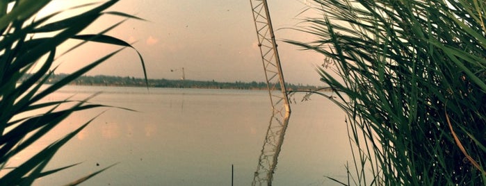 Venice Beach Cable Park is one of Locais curtidos por Balázs.