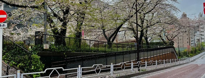 Tsukiji is one of Japan Point of interest.