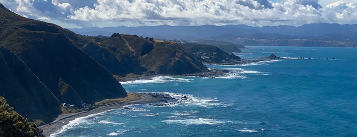 Red Rocks Scientific Reserve is one of NZ - Wellington.