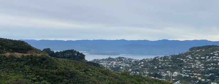 Otari-Wilton's Bush is one of Wellington.