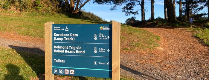 Belmont Regional Park is one of LOTR New Zealand.