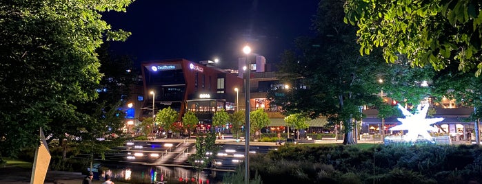 Avon River is one of New Zealand.