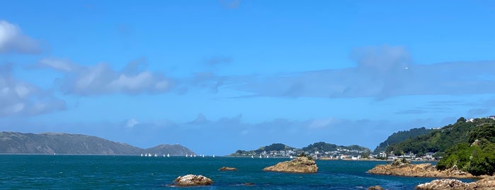 Scorching Bay is one of I love NZ beaches.
