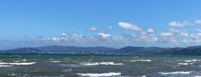 Petone Foreshore is one of Wellington Wedding photography locations.