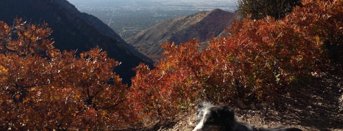 Millcreek Canyon - Desolation Peak is one of Orte, die C gefallen.