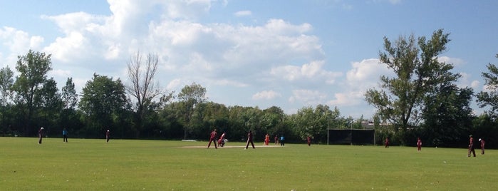 Maple Leaf Cricket Club is one of TO Cricket.