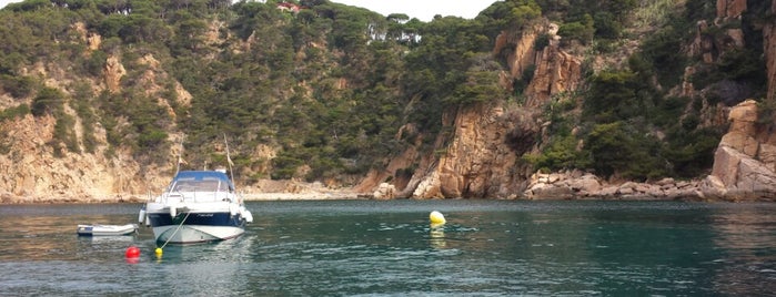 Cala del Vigatà is one of PLAYAS y CALAS COSTA BRAVA.