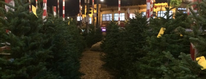 Delancey Street Christmas Trees is one of สถานที่ที่ Erin ถูกใจ.
