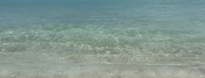 Shark Bay is one of สถานที่ที่บันทึกไว้ของ Yaron.
