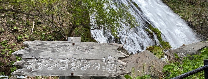 オシンコシンの滝 is one of 自然地形.