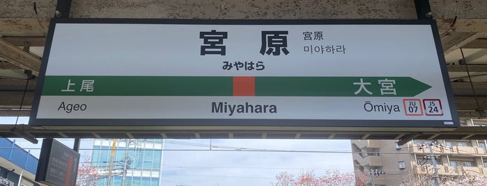 宮原駅 is one of JR 미나미간토지방역 (JR 南関東地方の駅).