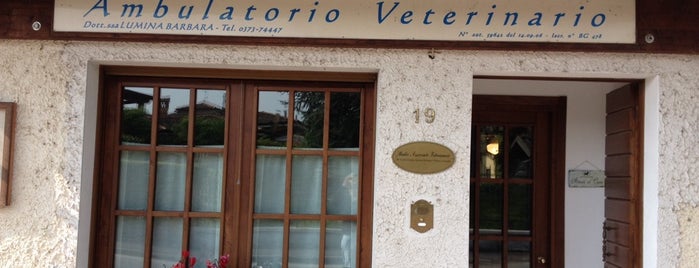 Ambulatorio Veterinario is one of Tempat yang Disukai 🍒Lü🍒.
