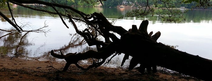 Lake Shore Trail is one of Orte, die Travis gefallen.