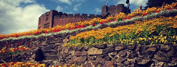 Tamworth Castle Grounds is one of landmarks.
